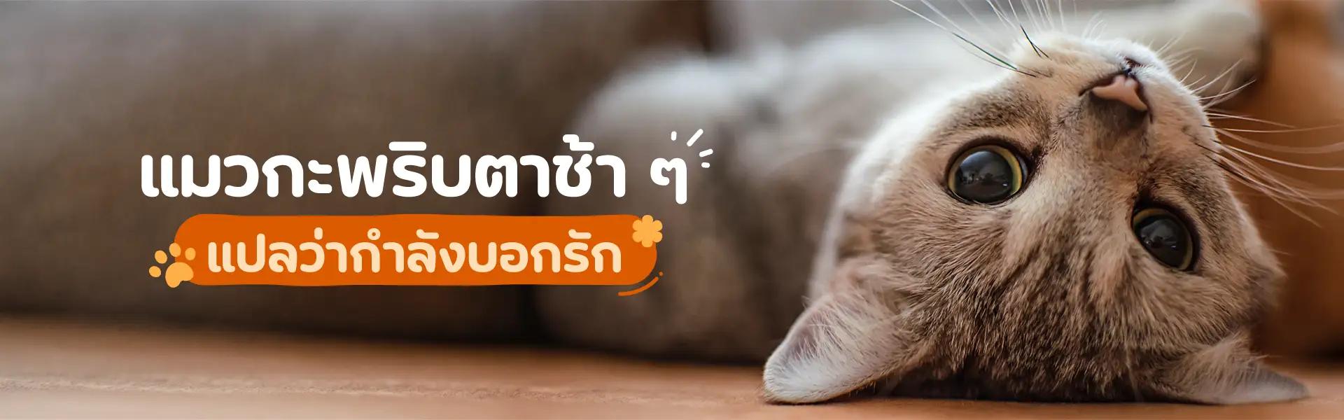 Article Banner