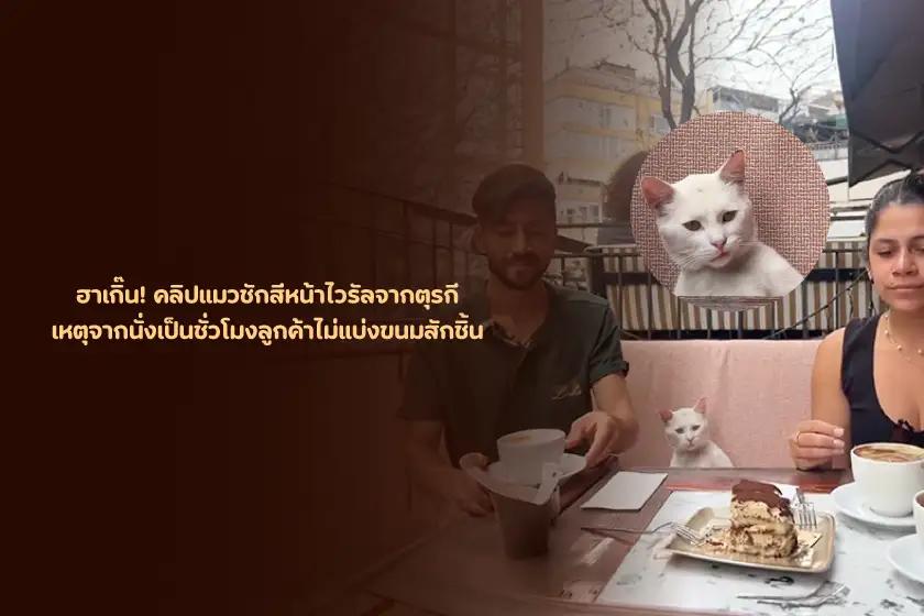 ฮาเกิ๊น! คลิปแมวชักสีหน้าไวรัลจากตุรกี เหตุจากนั่งเป็นชั่วโมงลูกค้าไม่แบ่งขนมสักชิ้น